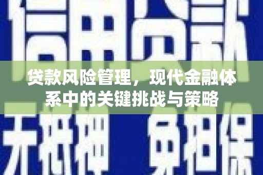 任县贷款风险管理，现代金融体系中的关键挑战与策略