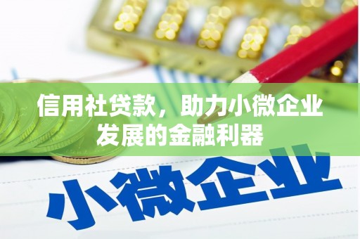 任县信用社贷款，助力小微企业发展的金融利器