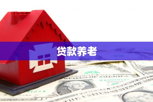 任县贷款养老