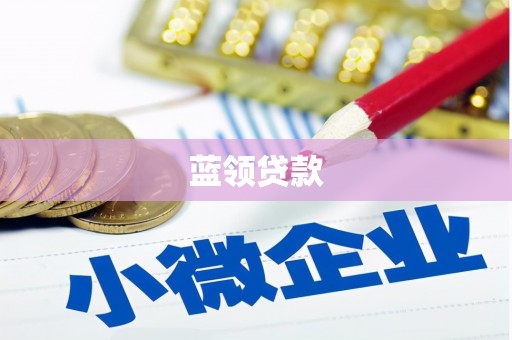 任县蓝领贷款