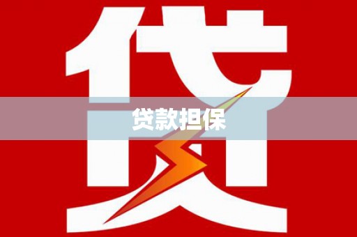 任县贷款担保