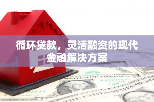 任县循环贷款，灵活融资的现代金融解决方案