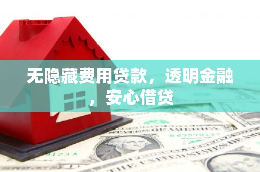 任县无隐藏费用贷款，透明金融，安心借贷