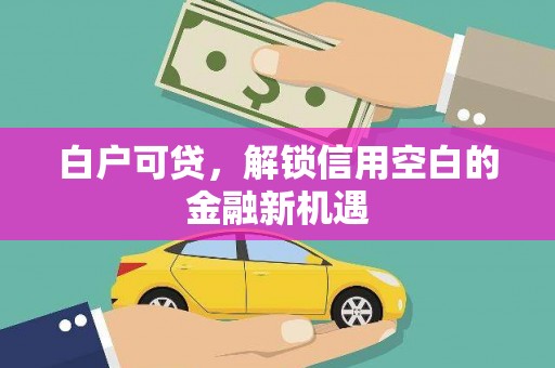 任县白户可贷，解锁信用空白的金融新机遇