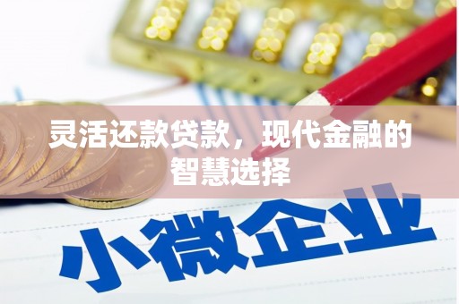 任县灵活还款贷款，现代金融的智慧选择
