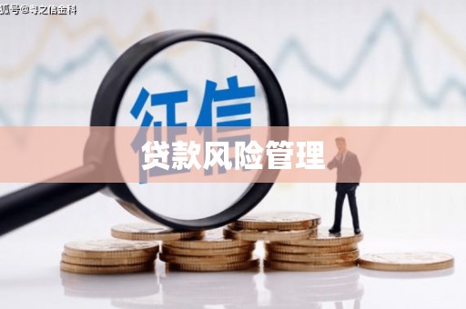 任县贷款风险管理