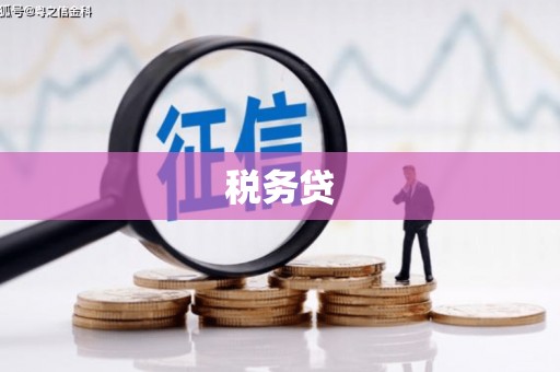任县税务贷