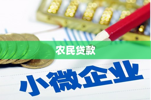 任县农民贷款