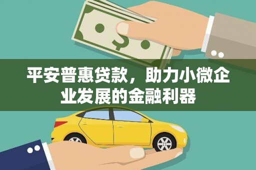 任县平安普惠贷款，助力小微企业发展的金融利器