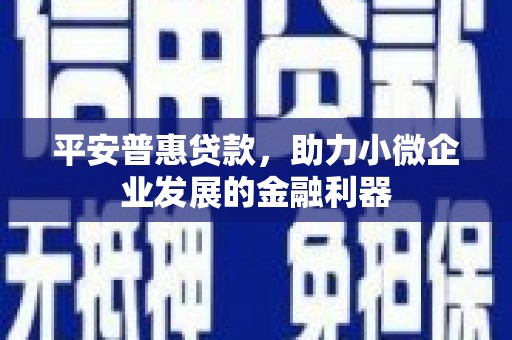 任县平安普惠贷款，助力小微企业发展的金融利器