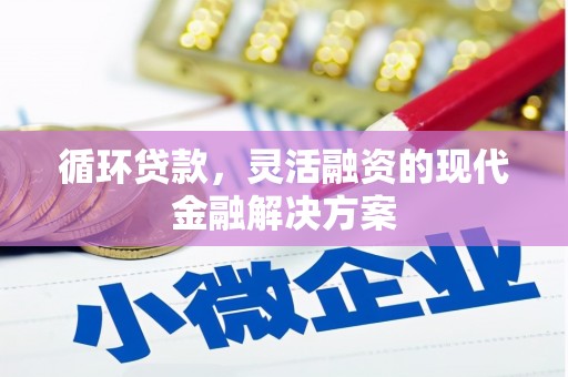 任县循环贷款，灵活融资的现代金融解决方案
