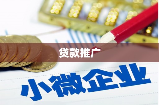 任县贷款推广