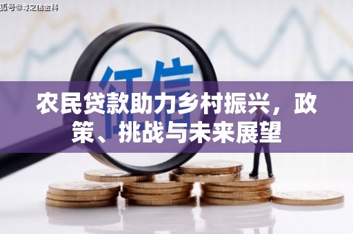 任县农民贷款助力乡村振兴，政策、挑战与未来展望