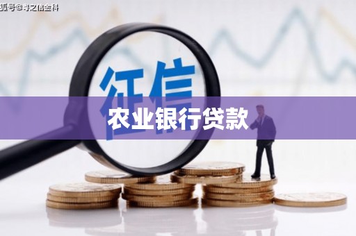 任县农业银行贷款