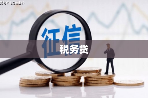 任县税务贷