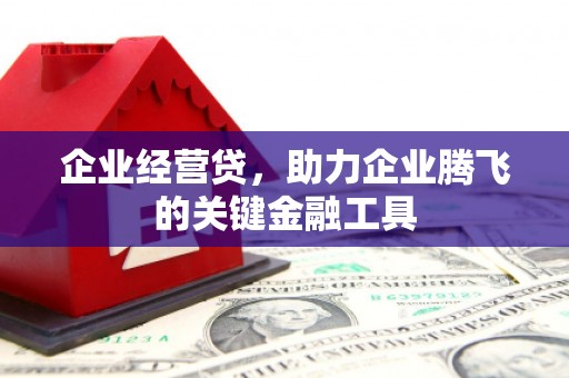 任县企业经营贷，助力企业腾飞的关键金融工具