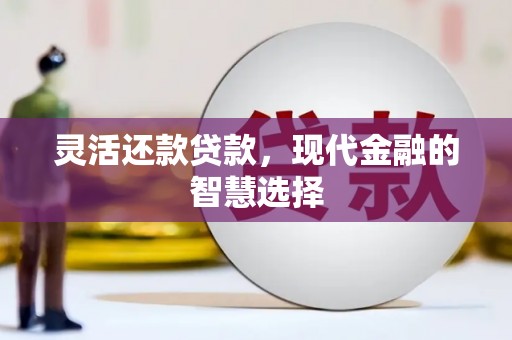 任县灵活还款贷款，现代金融的智慧选择