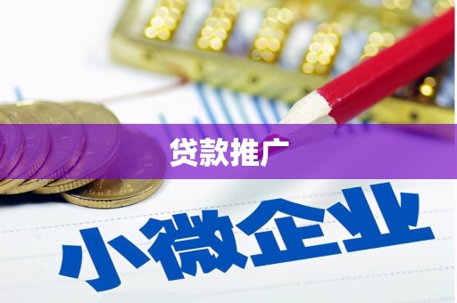 任县贷款推广