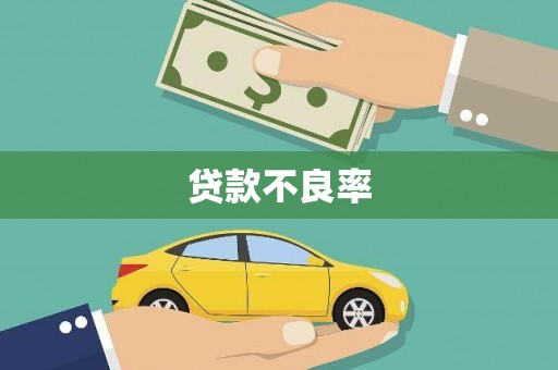 任县贷款不良率