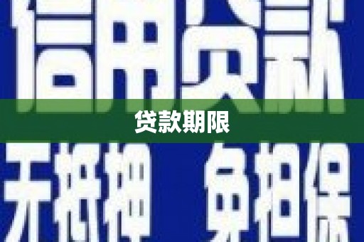 任县贷款期限