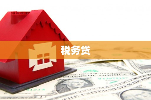 任县税务贷