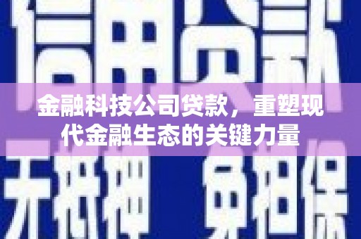 任县金融科技公司贷款，重塑现代金融生态的关键力量