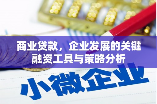 任县商业贷款，企业发展的关键融资工具与策略分析