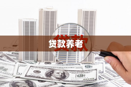 任县贷款养老