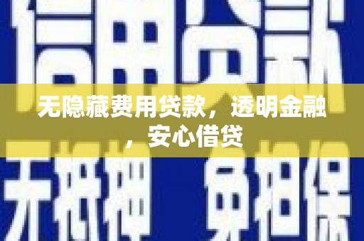 任县无隐藏费用贷款，透明金融，安心借贷