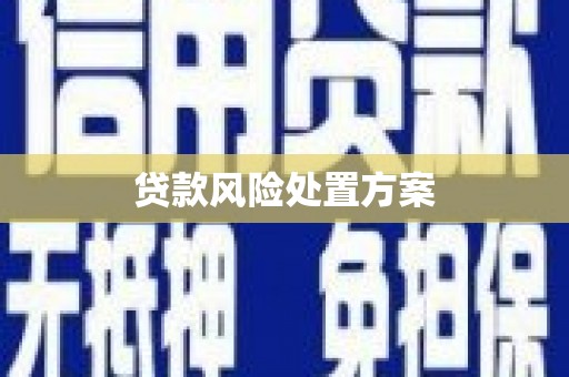 任县贷款风险处置方案