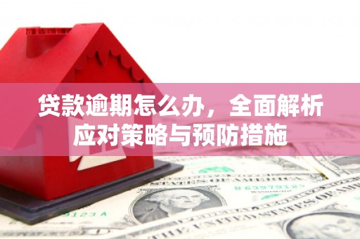 任县贷款逾期怎么办，全面解析应对策略与预防措施