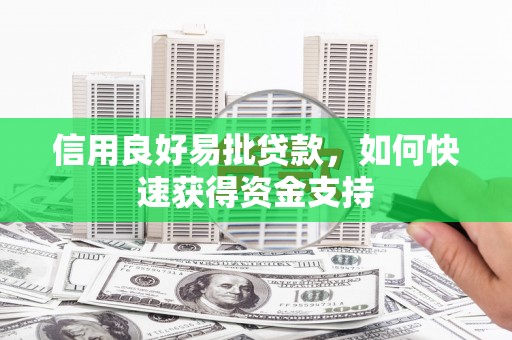任县信用良好易批贷款，如何快速获得资金支持