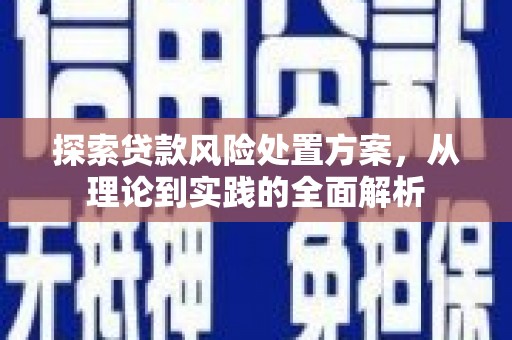 任县探索贷款风险处置方案，从理论到实践的全面解析