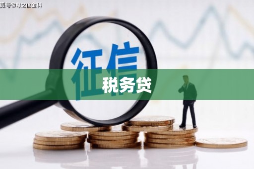 任县税务贷