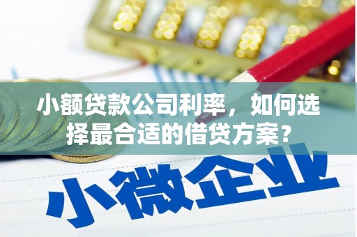 任县小额贷款公司利率，如何选择最合适的借贷方案？