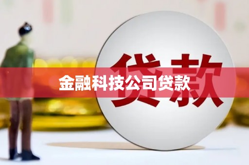 任县金融科技公司贷款