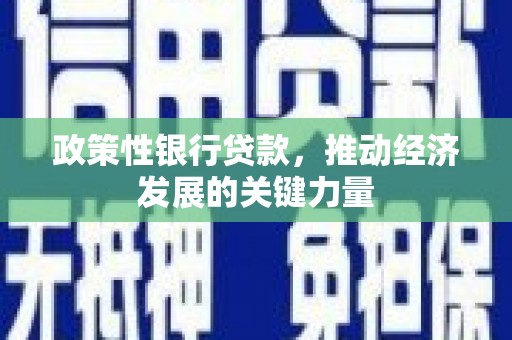 任县政策性银行贷款，推动经济发展的关键力量
