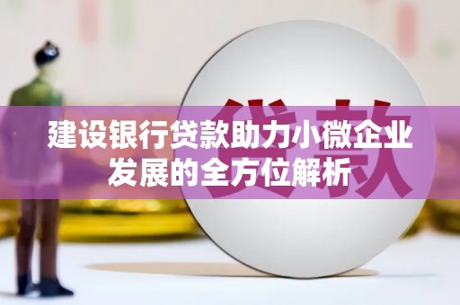 任县建设银行贷款助力小微企业发展的全方位解析
