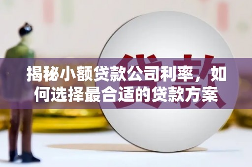 任县揭秘小额贷款公司利率，如何选择最合适的贷款方案