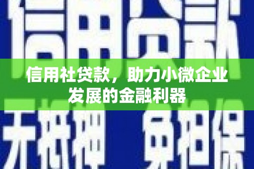 任县信用社贷款，助力小微企业发展的金融利器