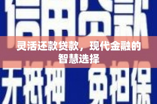 任县灵活还款贷款，现代金融的智慧选择
