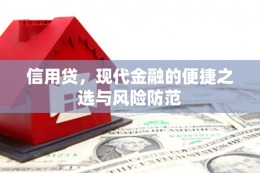 任县信用贷，现代金融的便捷之选与风险防范