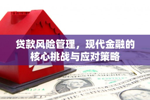任县贷款风险管理，现代金融的核心挑战与应对策略