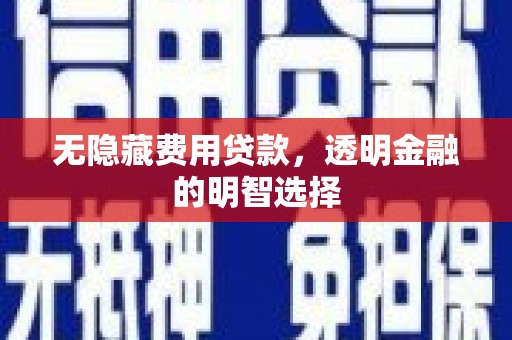 任县无隐藏费用贷款，透明金融的明智选择