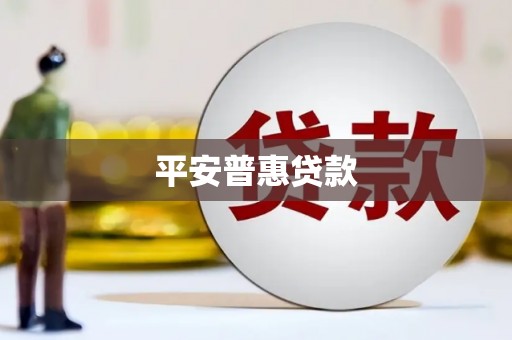任县平安普惠贷款