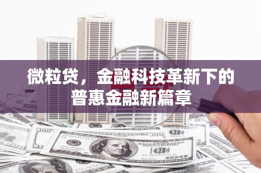 任县微粒贷，金融科技革新下的普惠金融新篇章