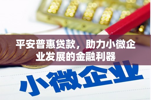 任县平安普惠贷款，助力小微企业发展的金融利器