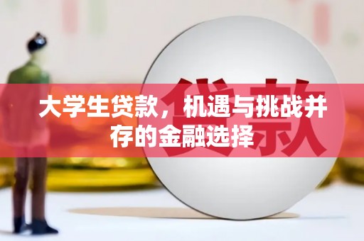 任县大学生贷款，机遇与挑战并存的金融选择