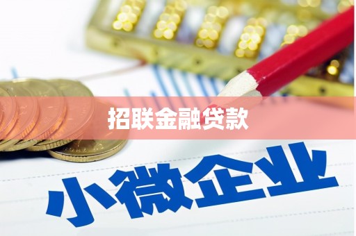任县招联金融贷款