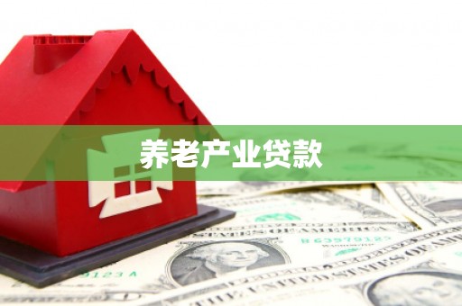 任县养老产业贷款
